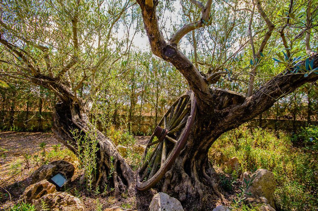 Can Pascolet Inca  Luaran gambar